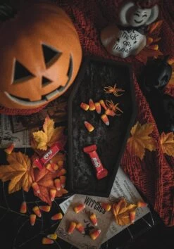 Velvet Coffin Trinket Box